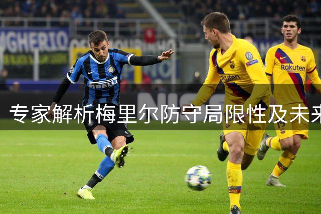 专家解析梅里尔防守局限性及未来潜力